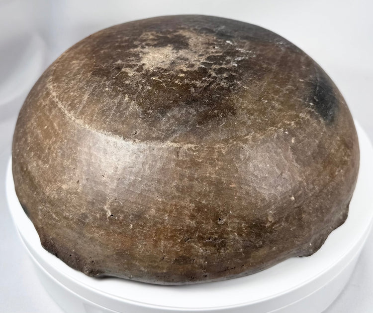 Handcrafted Pre-Columbian pottery vessel with sculptural form and archaeological character