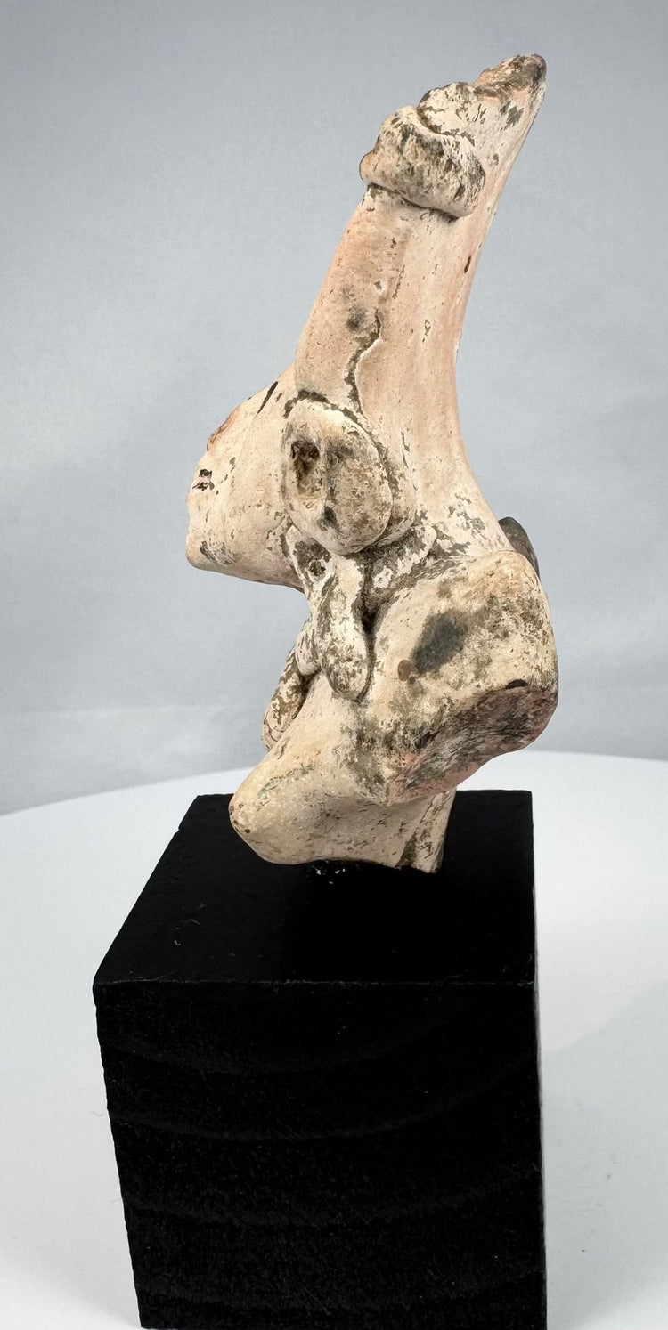 Pre-Columbian terracotta upper figure mounted on a modern custom display stand