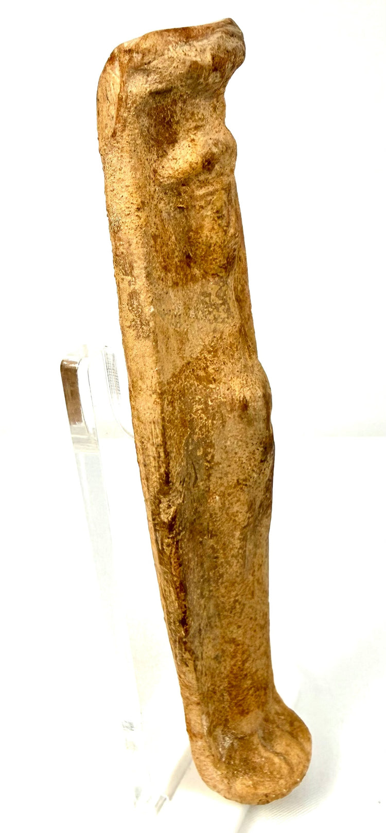 Angled view of weathered Roman terracotta artifact with textured surface and raised features