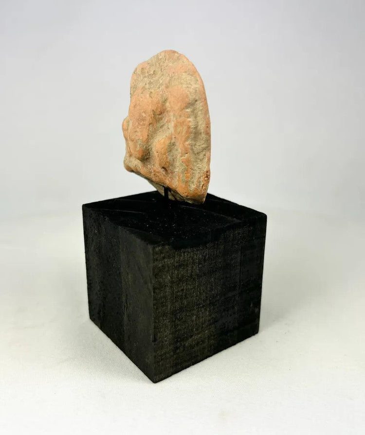 Ancient Gandharan terracotta plaque fragment with central male bust