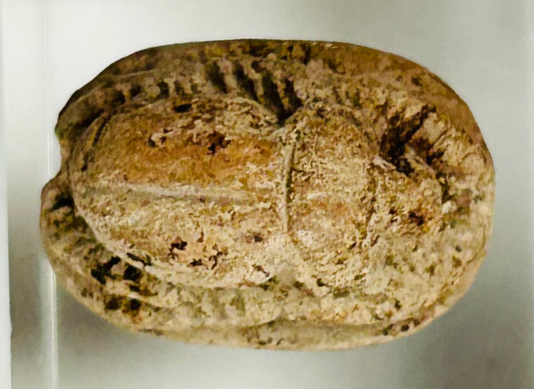 Authentic Ancient Egyptian carved steatite scarab amulet from New Kingdom to Late Period