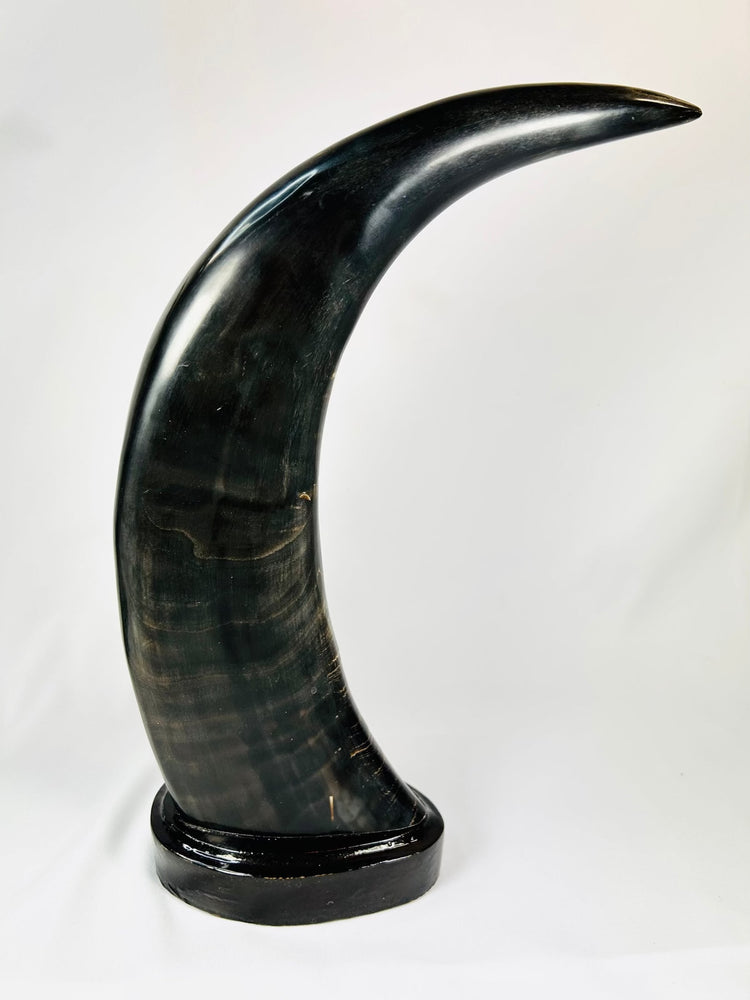 Mid-20th-century East Asian decorative horn sculptures with dragons, tigers, clouds, and black lacquered mounts