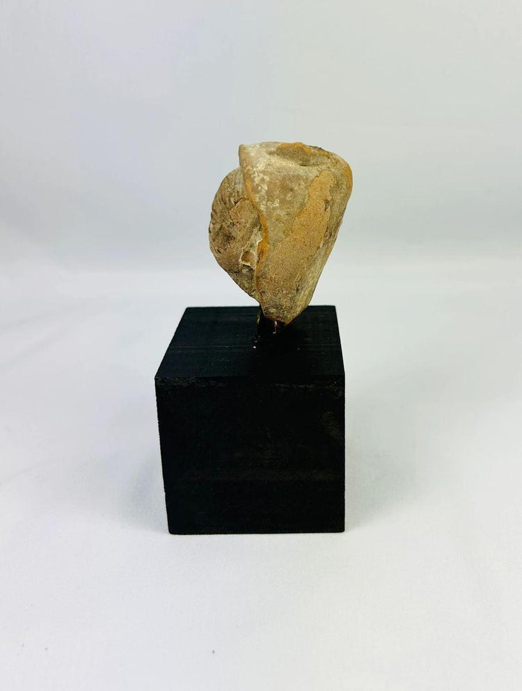 Terracotta head fragment Classical Mediterranean likely Greek or Roman 1st millennium BCE–CE
