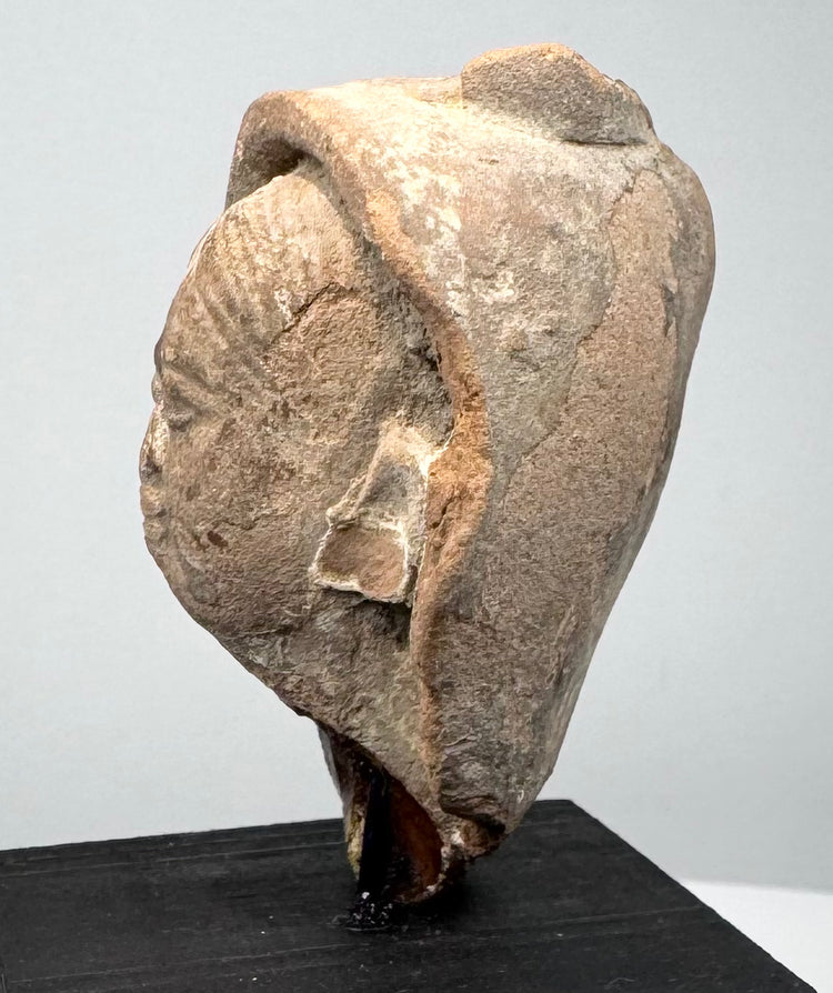 Greek or Roman terracotta head fragment from classical antiquity with stylized facial features and centuries-old surface wear.