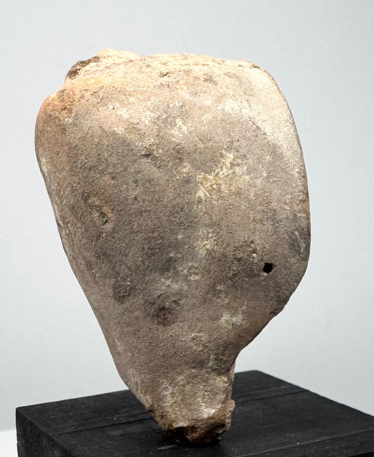 Ancient terracotta head fragment displaying delicate facial modeling and characteristic artistic traditions of the Greek and Roman world.