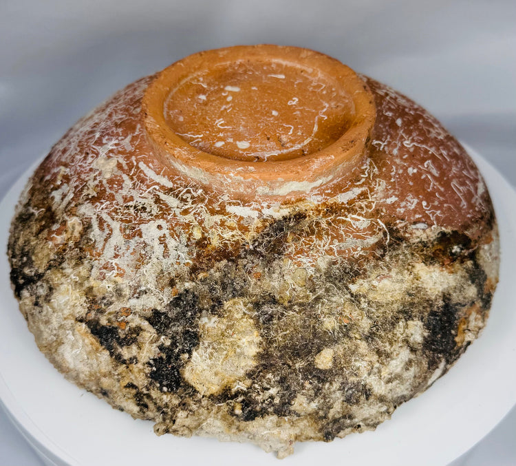 Authentic Byzantine slipware bowl from a long-held private Saint Paul, Minnesota collection with documented provenance.