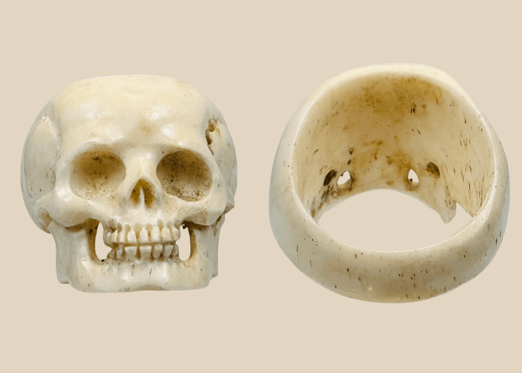 Antique European carved bone memento mori skull ring, late 19th to early 20th century