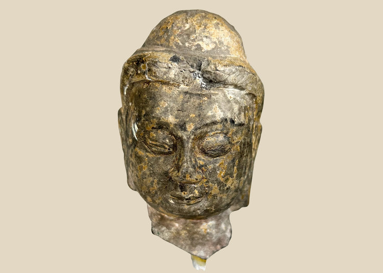 Gandharan period carved stone Buddha head fragment, 3rd–5th century CE, serene expression with half-closed eyes, Greco-Roman facial features, delicately carved hair, natural patina, mounted on a clear acrylic display stand.