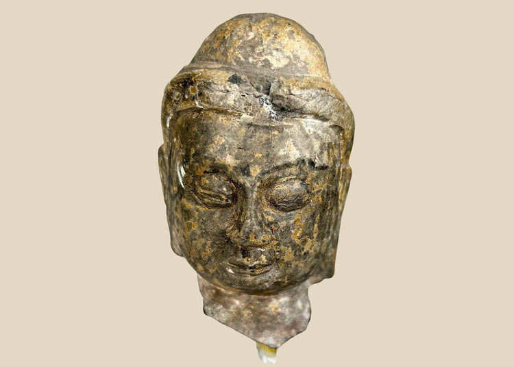Gandharan period carved stone Buddha head fragment, 3rd–5th century CE, serene expression with half-closed eyes, Greco-Roman facial features, delicately carved hair, natural patina, mounted on a clear acrylic display stand.