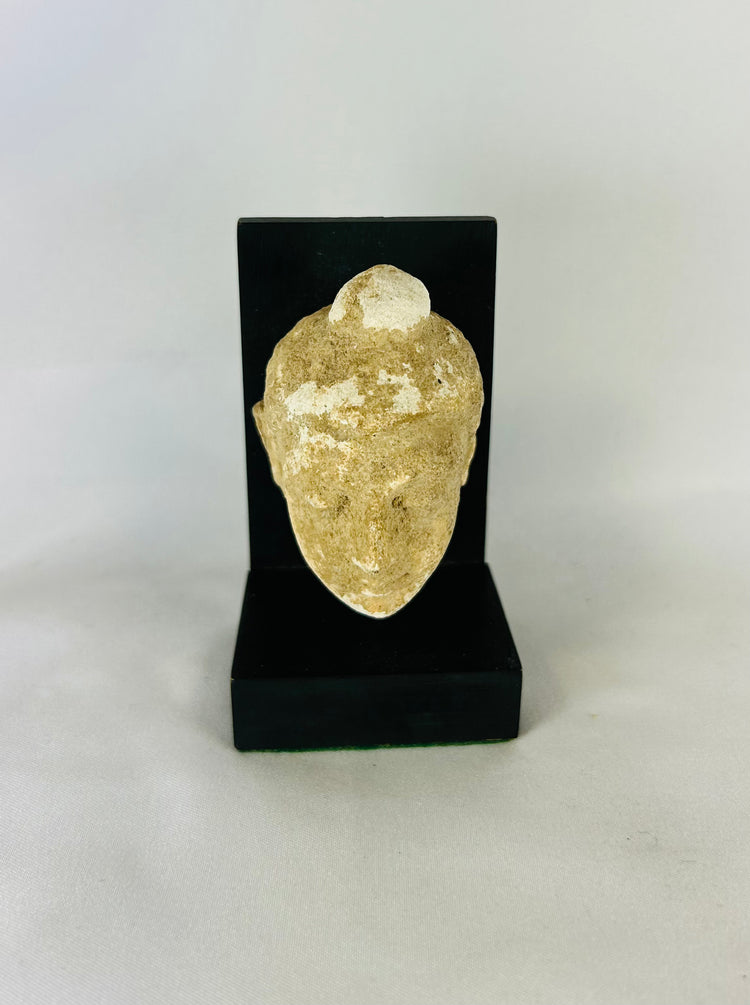 3rd–4th century CE Gandharan Buddha head carved in schist with serene expression, closed eyes, finely arched brows, and ushnisha, reflecting Greco-Buddhist Hellenistic realism and Indian spiritual iconography, mounted on modern display stand.