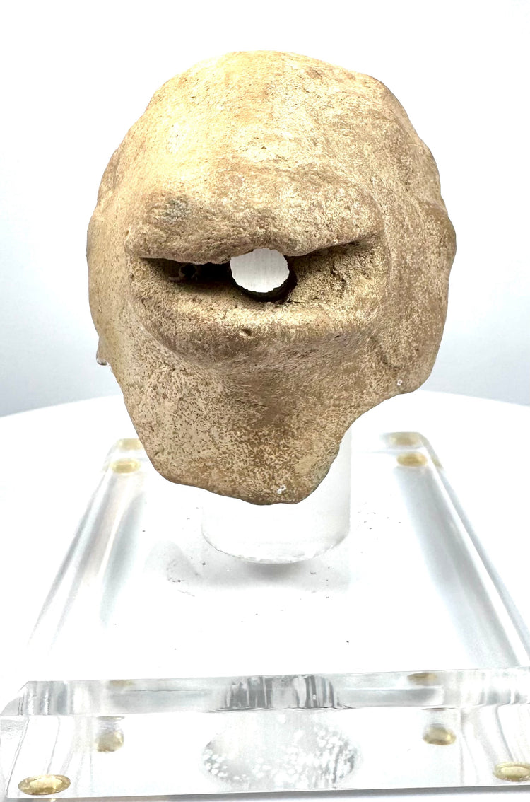 Ancient Mediterranean zoomorphic vessel fragment displaying a pronounced open mouth, sculpted animal muzzle, and coarse granular stone texture.