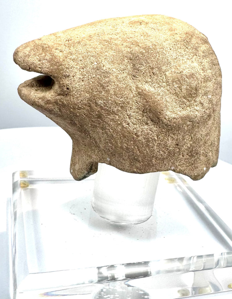 Ancient ram-head rhyton spout fragment with a broad upper head, separated upper and lower jaws, and weathered sandy-beige surface.