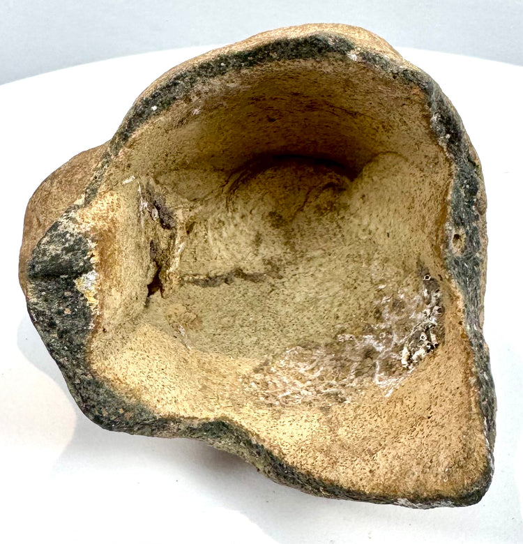 Animal-headed rhyton fragment catalogued as volcanic silicate tuff, featuring natural ochre, grey, and earthy brown surface variations.