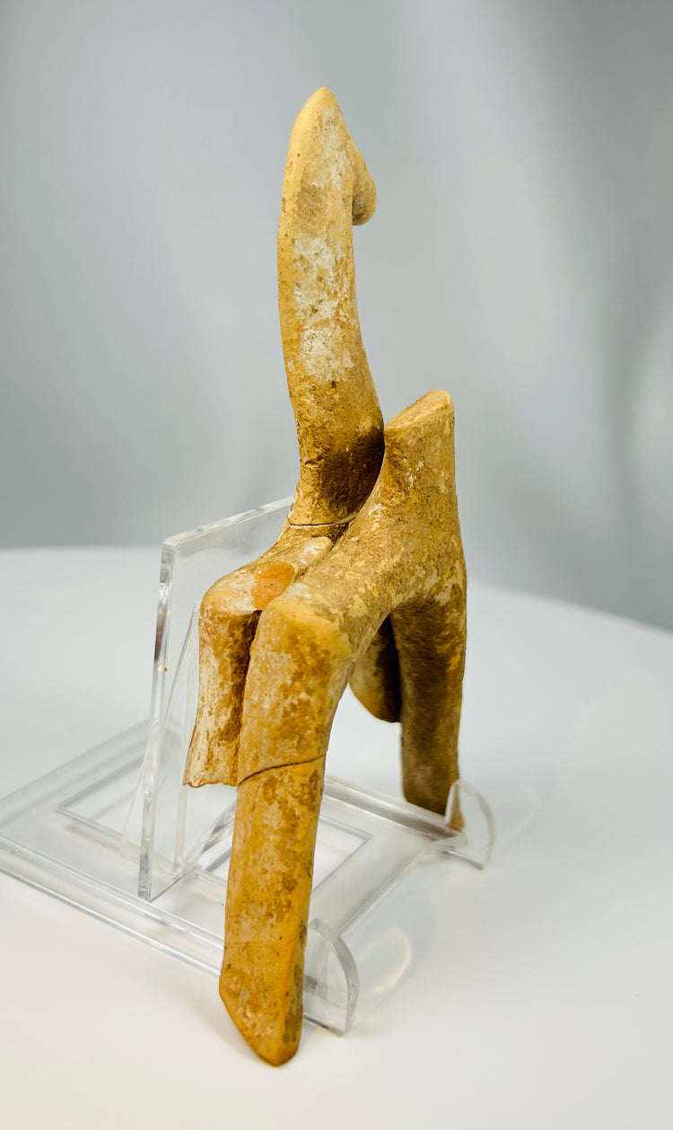 Ancient Greek votive horse figure discovered in Boeotia region