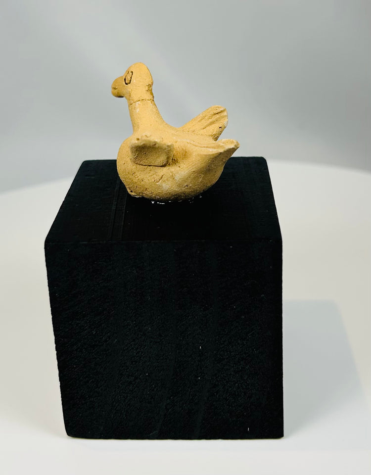 Ancient Colima region terracotta animal effigy depicting a stylized bird form