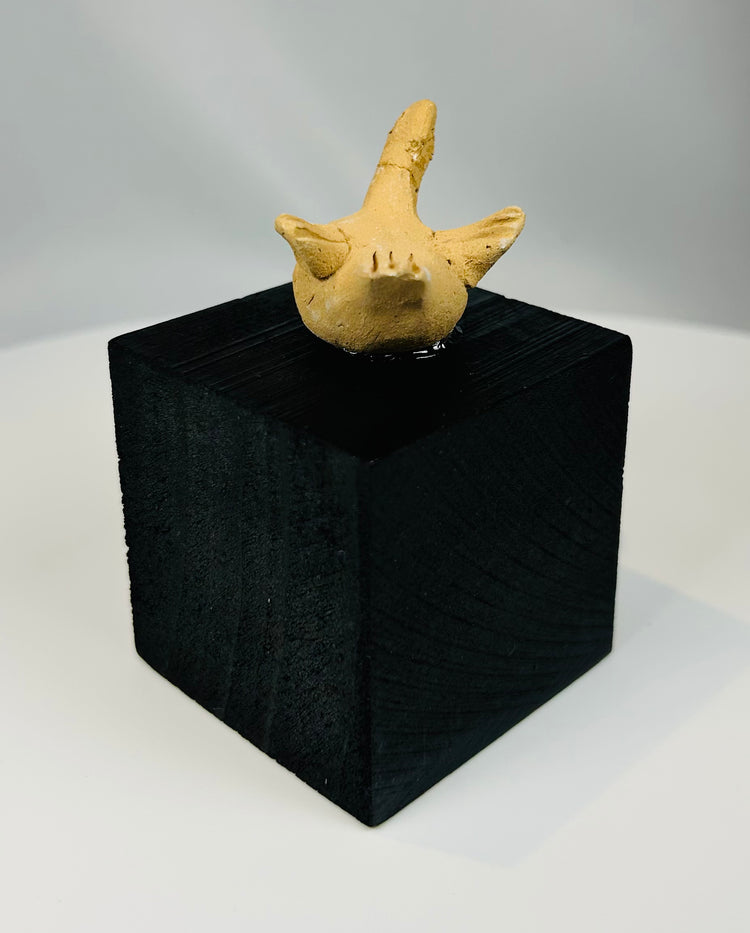 Pre-Columbian West Mexico bird figure crafted in fired clay with visible ancient surface wear