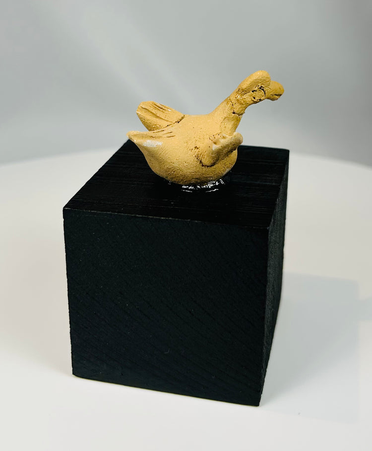 Ancient Mesoamerican terracotta bird artifact likely from Colima or Nayarit region mounted for display