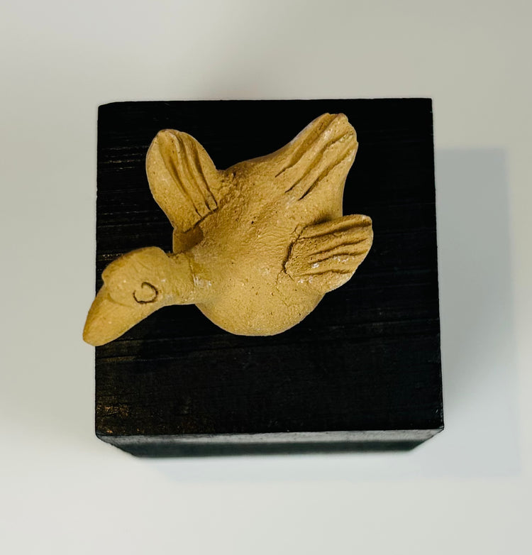Ancient Mesoamerican terracotta bird figure with stylized wings and elongated neck from the Colima tradition