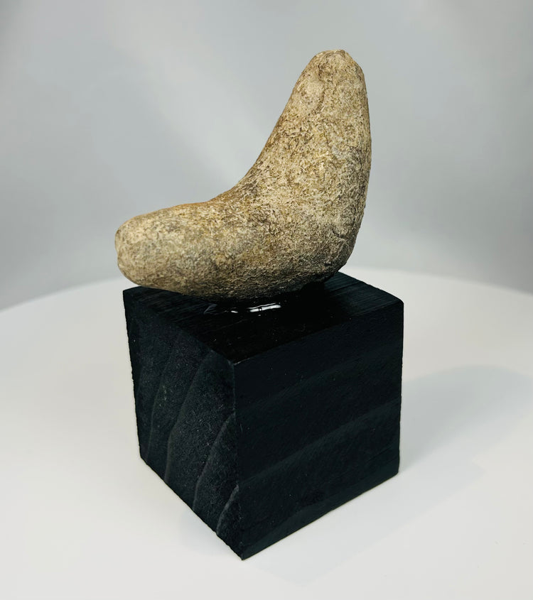 Ancient ground stone artifact from Pre-Columbian civilization mounted for display