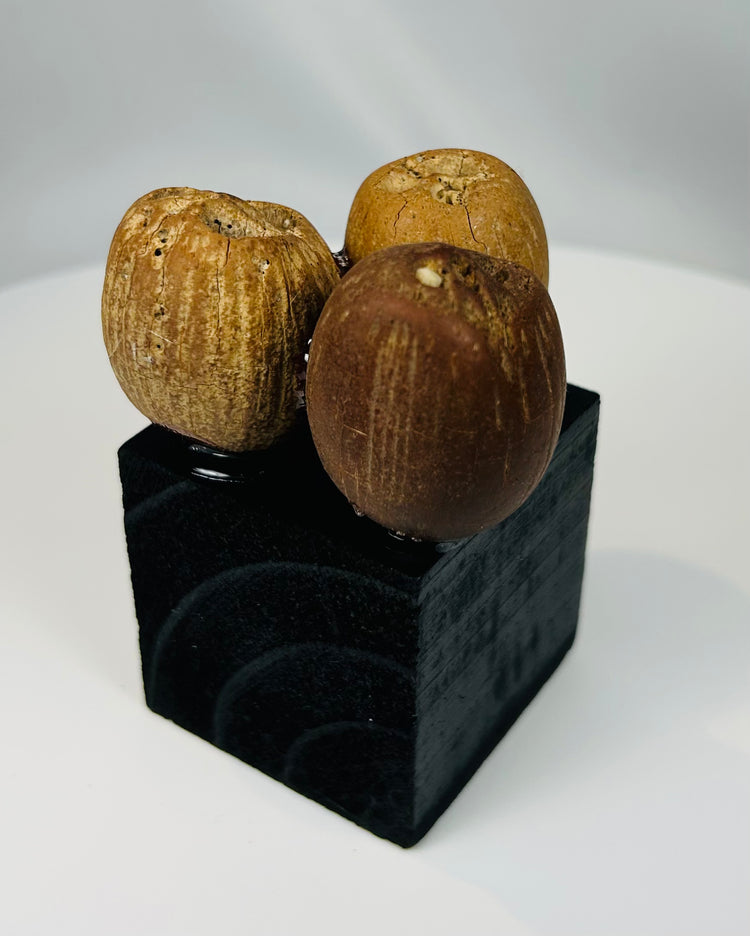 Pre-Columbian organic rattle elements made from drilled palm seed pods