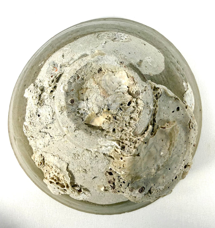 Archaeological Song Dynasty celadon bowl displaying preserved barnacle and mussel accretions from prolonged submersion in Southeast Asian waters.