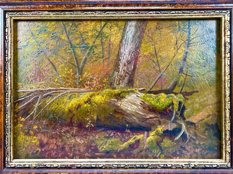 Historic Ontario oil painting featuring a twisted, exposed tree root with naturalistic details and subtle tonal variations characteristic of Canadian landscape art.