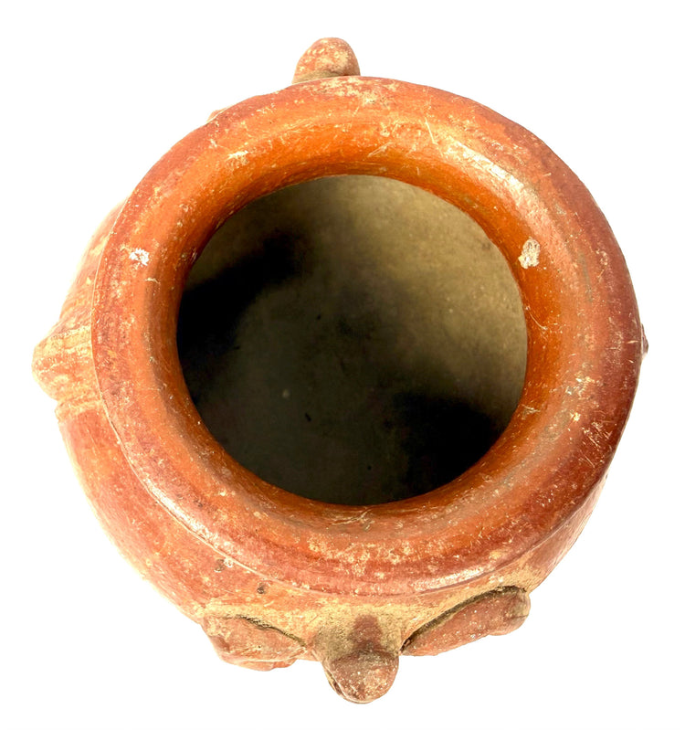 Late Pre-Columbian terracotta pottery vessel featuring curled relief patterns, small perforations, and hand-modeled decorative projections.