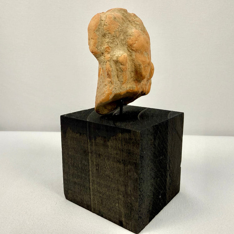 Terracotta male bust fragment elevated on pedestal highlighting height and clay material