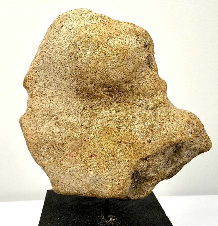 Rear view of beige terracotta fragment showing rough textured broken surface and reddish discoloration