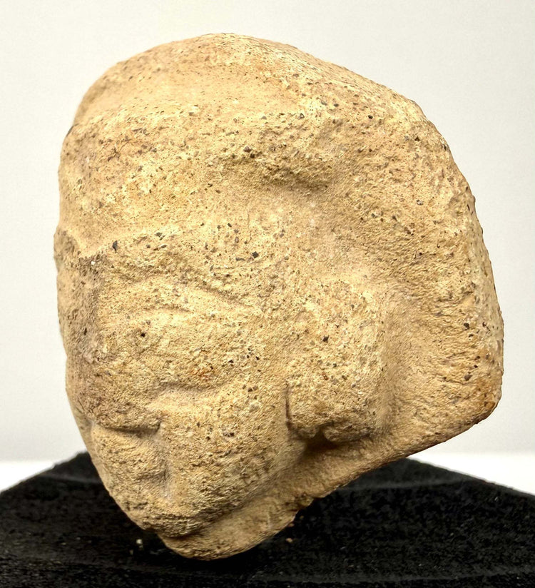 Ancient terracotta figurine head fragment featuring a defined mustache, textured beard, and elaborate stylized coiffure.