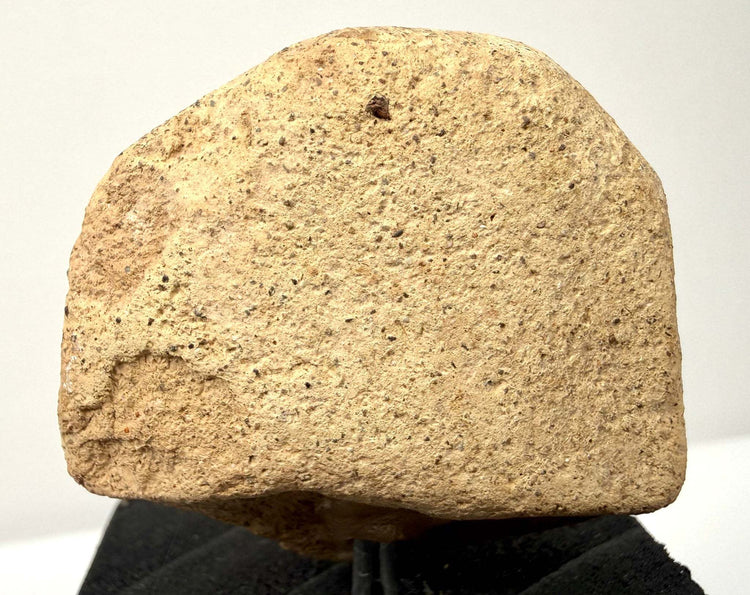 Rear view of fragmented terracotta head displaying rough porous sandy texture