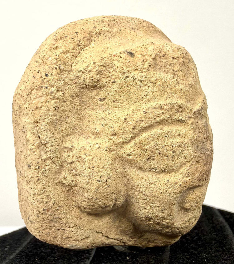 Three-quarter angle of terracotta head showcasing voluminous hair volume and side contour