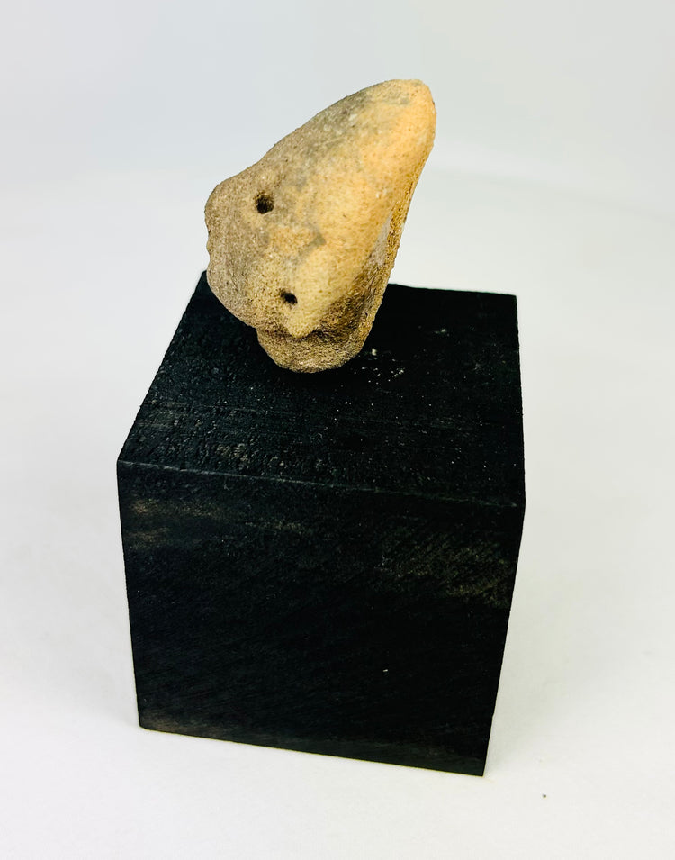 Nayarit terracotta head fragment, West Mexico, early Pre-Columbian artifact with subtle mouth and drilled eyes, displayed on black stand, 300 BCE–300 CE