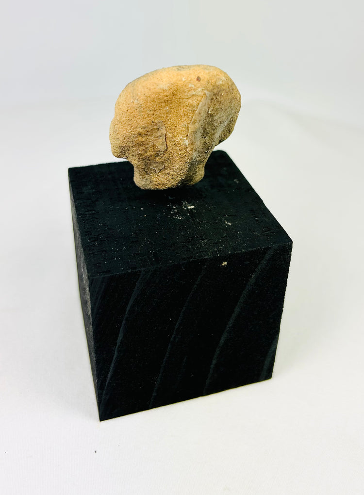 Small Pre-Columbian Nayarit or Jalisco terracotta head, ancient West Mexican collectible with drilled eyes and soft features, circa 300 BCE–300 CE