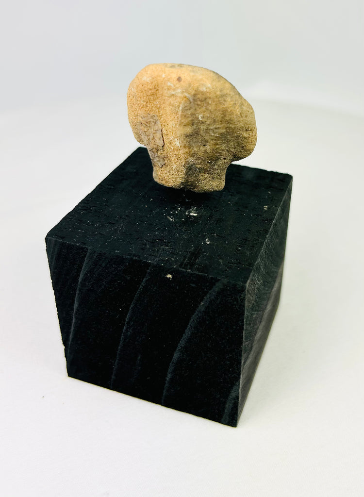 Pre-Columbian terracotta head fragment from West Mexico, Nayarit or Jalisco, archaeological artifact with drilled eyes and subtle mouth, mounted for display