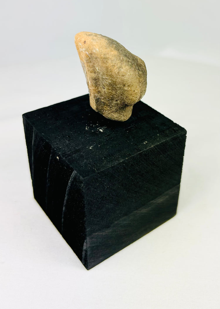 Ancient Pre-Columbian terracotta head, West Mexico, small collectible fragment from Nayarit or Jalisco, circa 300 BCE–300 CE, on black display stand