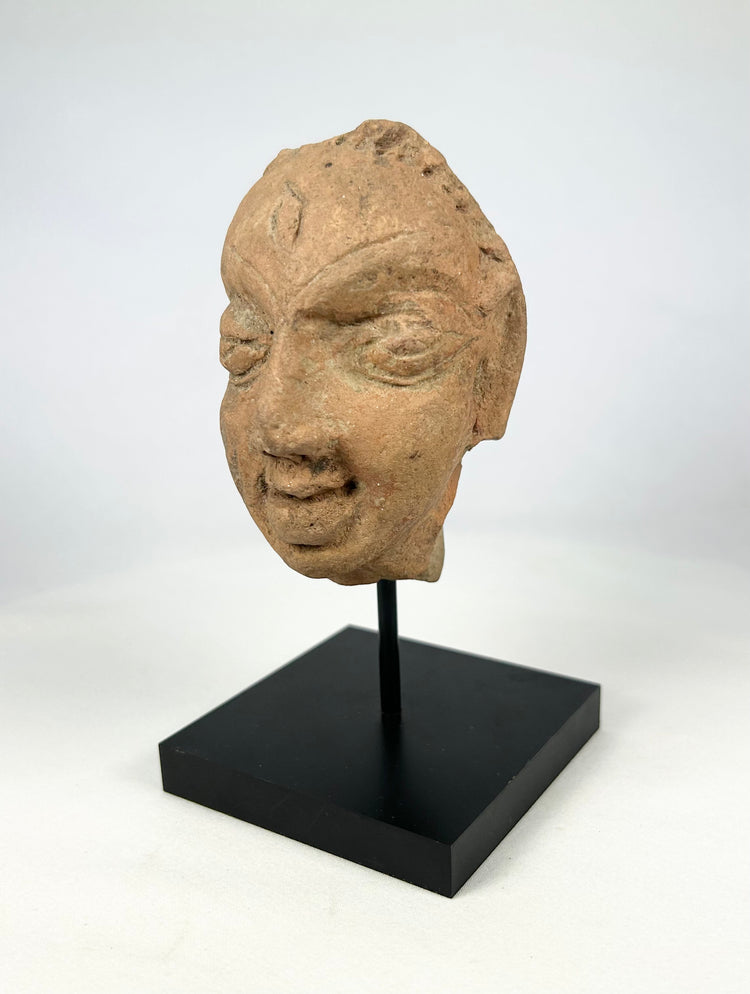 Gupta-period terracotta head fragment on a black museum stand, frontal view, 3rd–5th century CE.