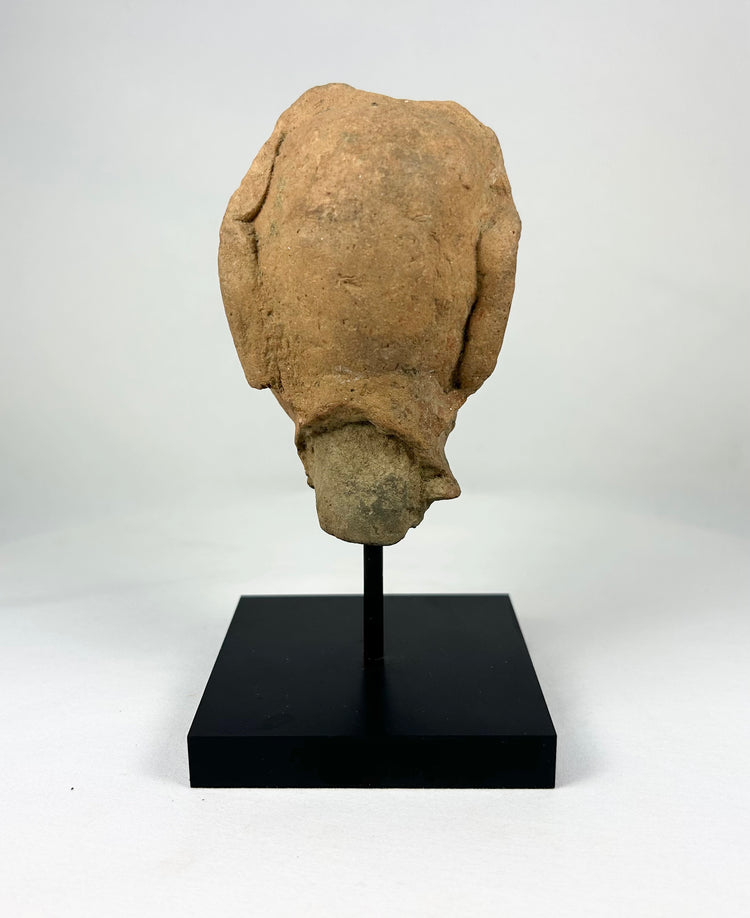 Back view of ancient Gupta-period terracotta head fragment mounted on a black museum stand.