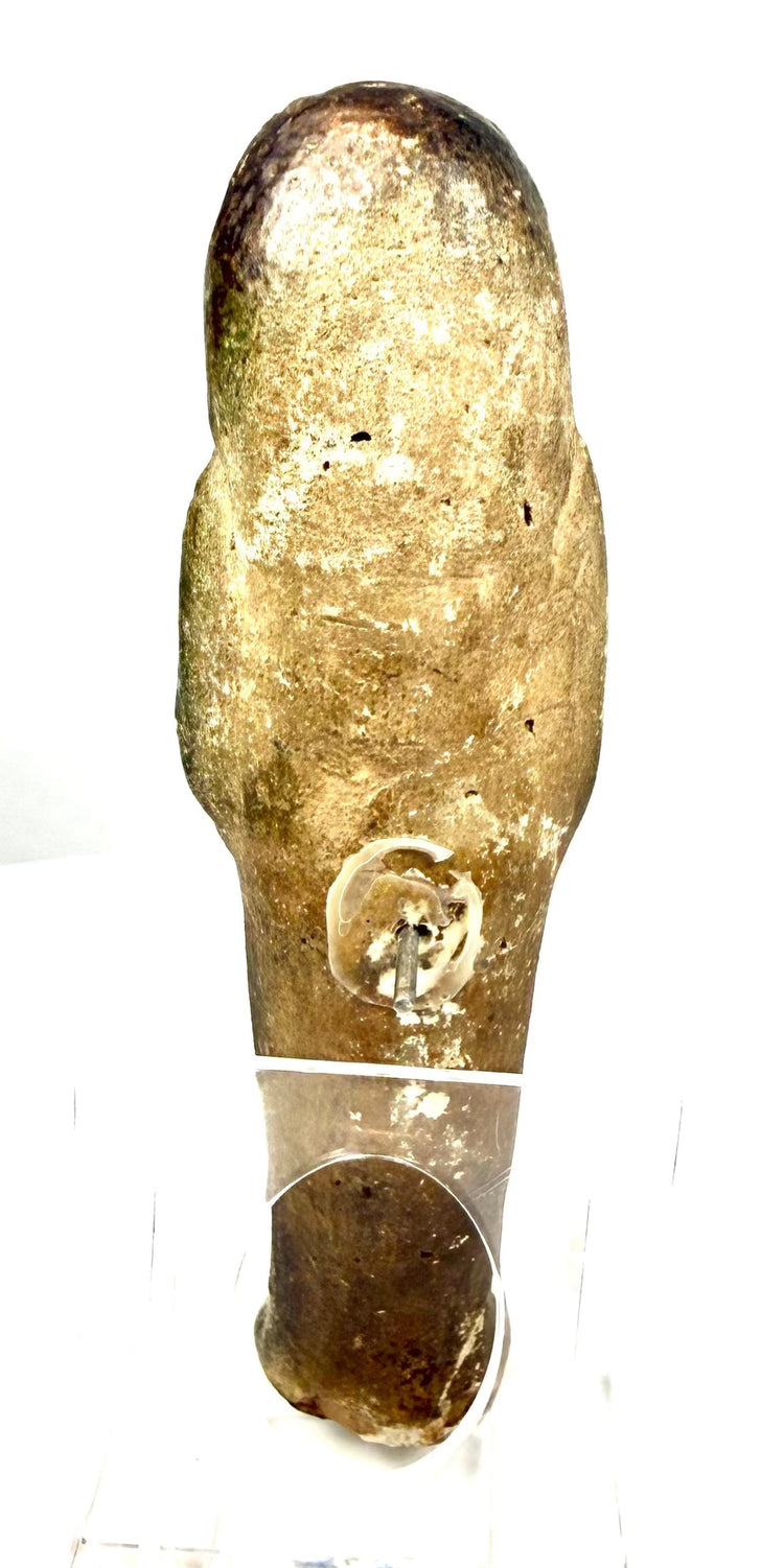 Egyptian shabti figure featuring a tripartite wig with long frontal lappets extending over the shoulders and chest.