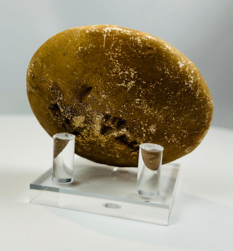 Antique carved stone seal with mineral deposits and age wear