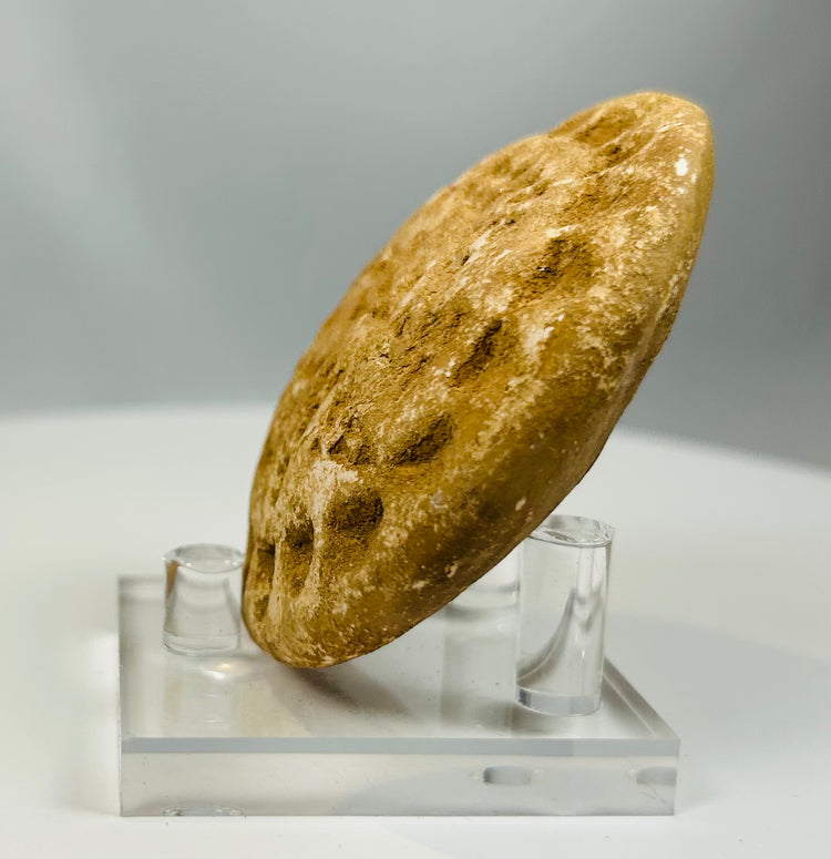 Ancient Near Eastern stamp seal with circular carved relief