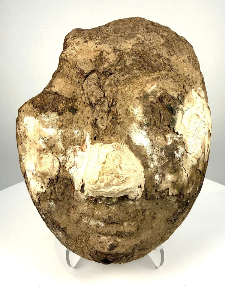 Egyptian funerary mask fragment from Upper Egypt, possibly associated with the Akhmim workshop tradition, featuring a modelled human face.