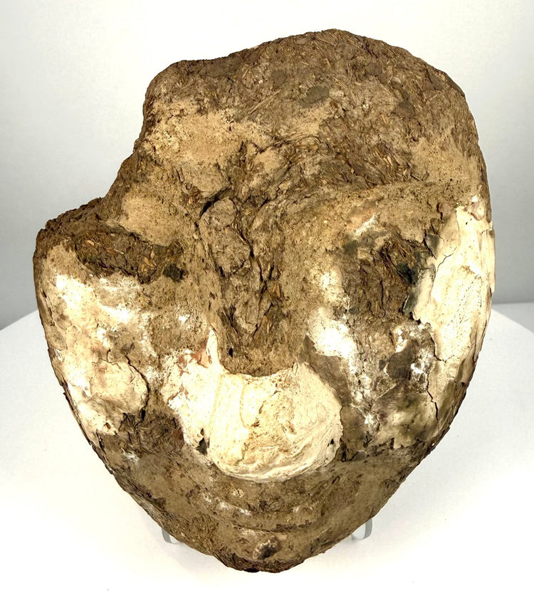 Ancient Egyptian mud-and-plant-fibre funerary face with a prominently projecting nose and surviving pale stucco surface.