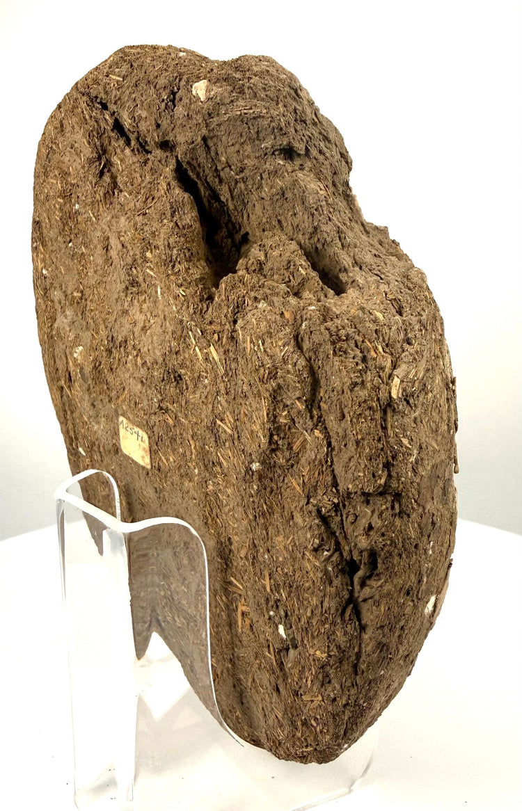 Ptolemaic–Roman Egyptian funerary face displaying substantial losses across the facial surface and surviving plaster-like material around the eyes.