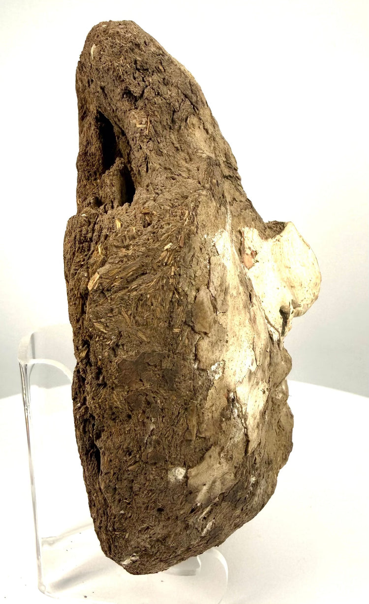 Ancient Egyptian funerary coffin fragment featuring a coarse plant-fibre structure traditionally associated with certain Upper Egyptian burial workshops.