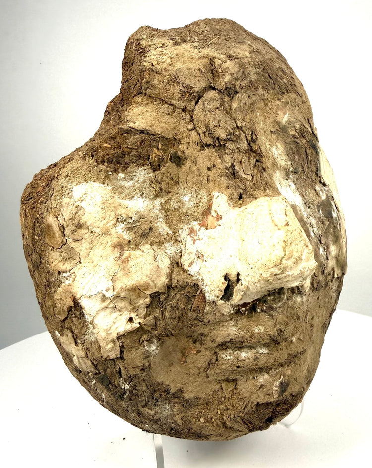 Ancient Egyptian mud-and-fibre funerary fragment with deep fissures, uneven edges, and remnants of its original decorative preparation layer.