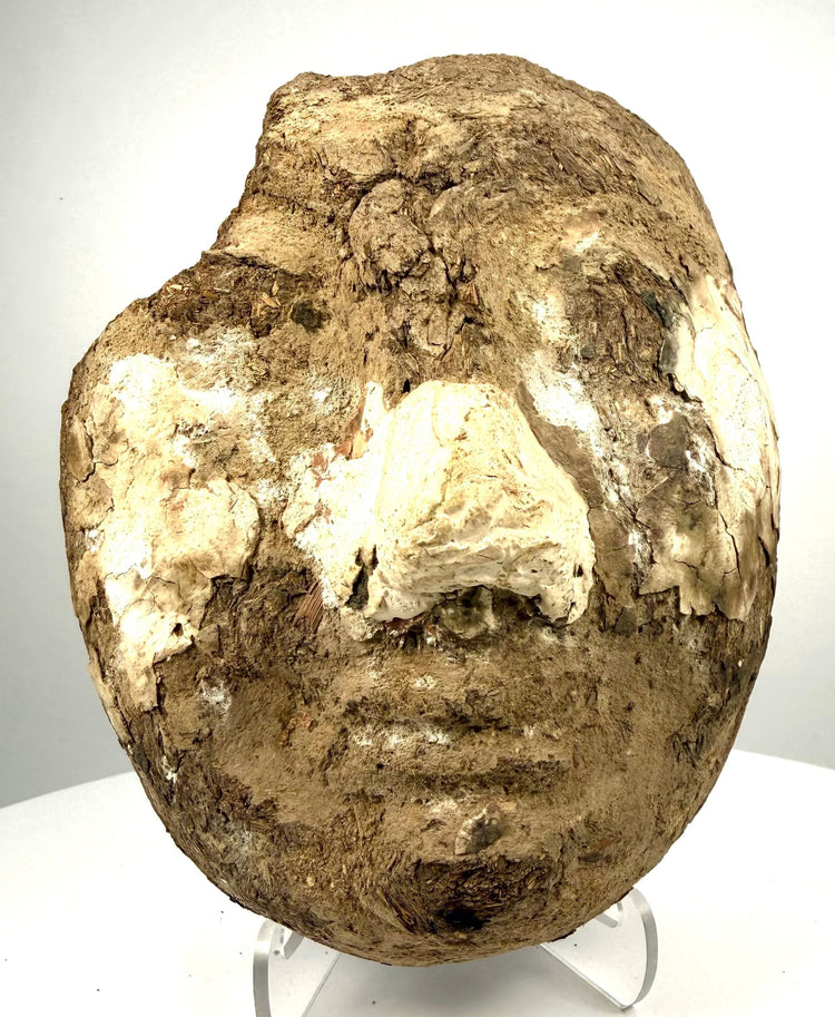 Ancient Egyptian mud-and-straw funerary fragment showing extensive surface deterioration, cracking, and exposed organic fibres.