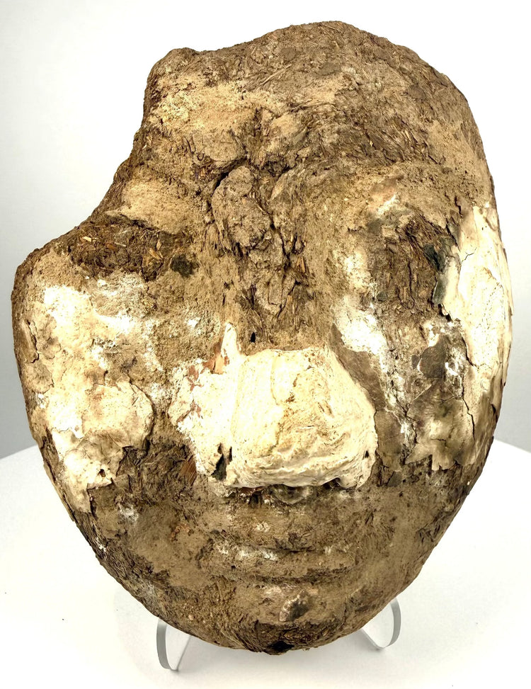 Egyptian funerary face fragment showing exposed straw fibres, compacted mud construction, and extensive age-related surface erosion.