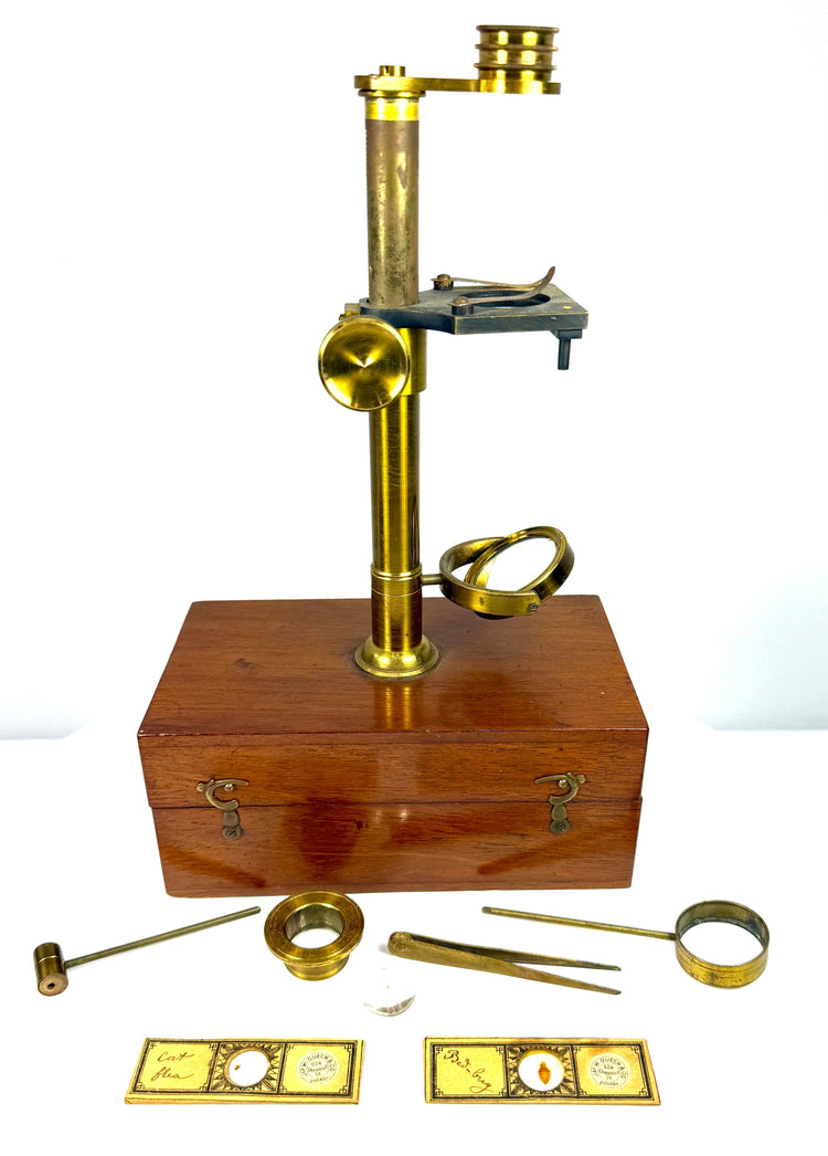 Victorian brass dissecting tools and forceps originally used for handling botanical, entomological and microscopic specimens.