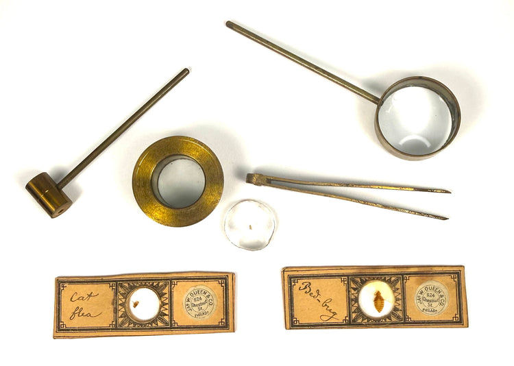 Antique field-type microscope displaying aged lacquered brass, natural oxidation and original Victorian metalworking details.